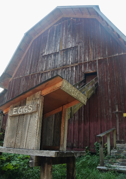 old barn with egg hut